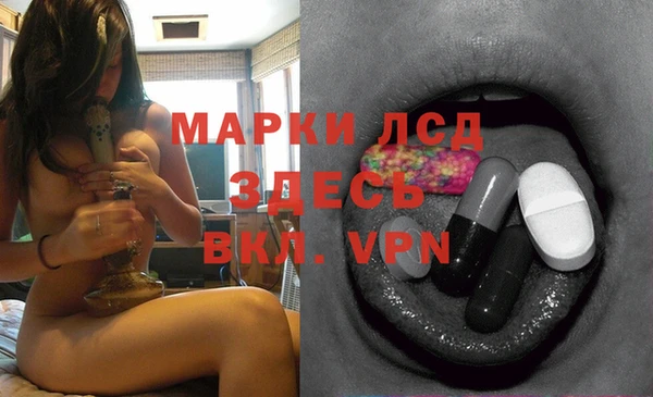 бошки Беломорск