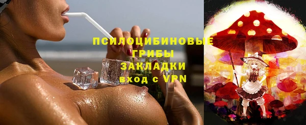 соль ск Белокуриха