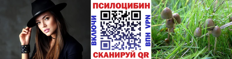 что такое наркотик  Нарткала  darknet какой сайт  Галлюциногенные грибы Psilocybe 